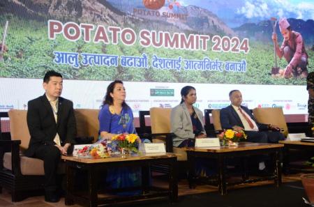 NICCI organizes the First Ever Potato Summit 2024
